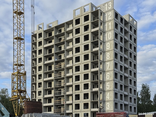 26 июня 2025