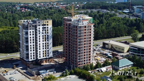 25 июля 2025