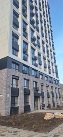 29 октября 2025