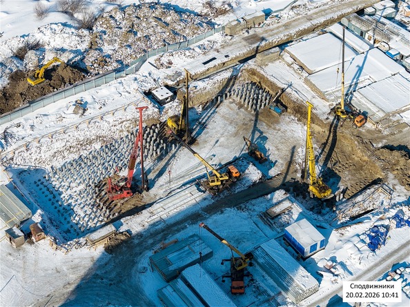 26 февраля 2026