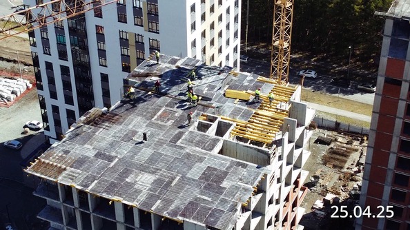 25 апреля 2025