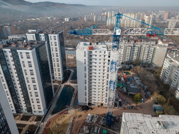 27 октября 2025