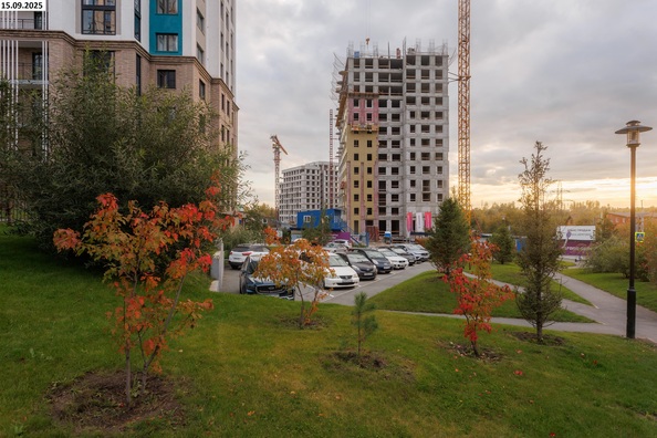 15 сентября 2025