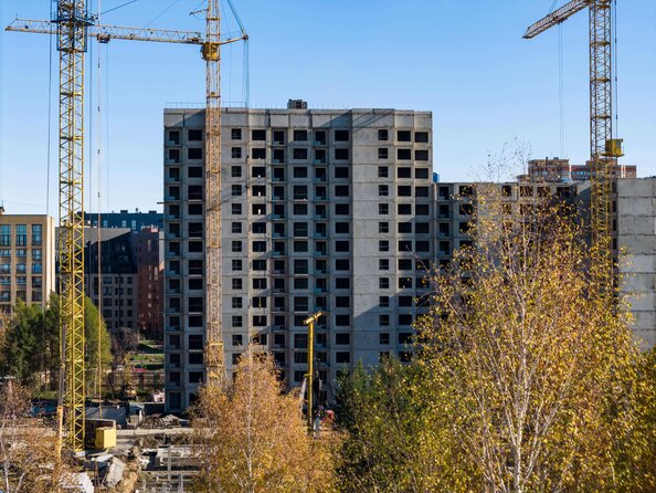 24 октября 2025