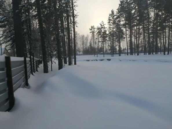19 февраля 2026