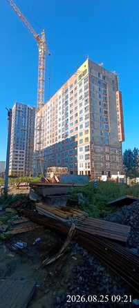 28 августа 2026
