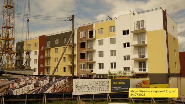 24 июля 2025