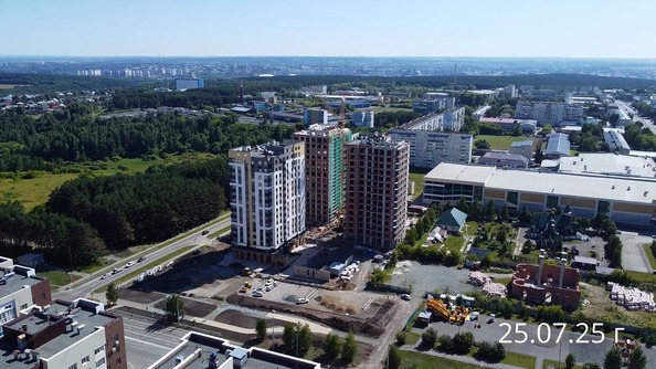 25 июля 2025