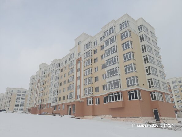 11 марта 2026