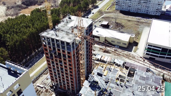 25 апреля 2025