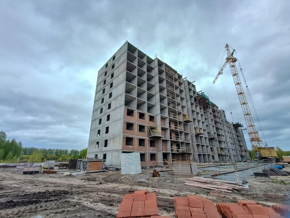Ход строительства 1 июня 2026