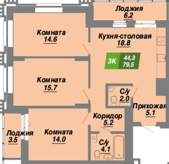 Планировка 3-комн 79,5 м²