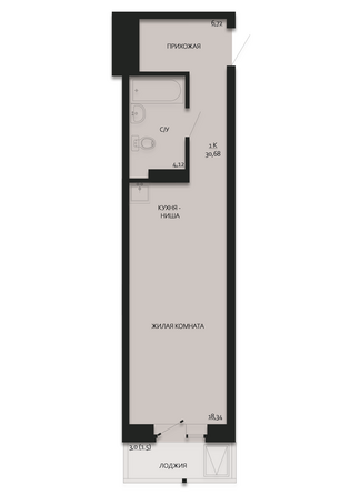 Планировка Студия 30,59, 30,68 м²