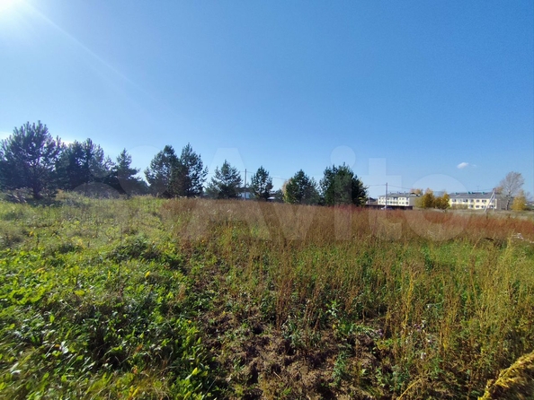 
  Продам земельный участок, 15 соток, деревня Киндяково
. Фото 1.