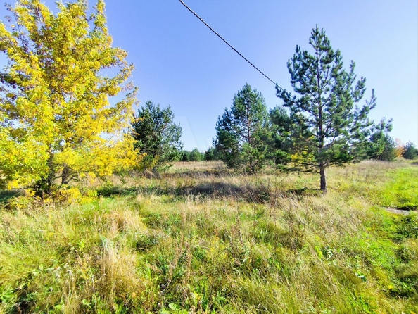 
  Продам земельный участок, 15 соток, деревня Киндяково
. Фото 2.