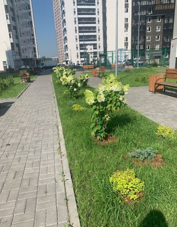 
   Продам 1-комнатную, 45 м², Судостроительная ул, 31

. Фото 5.