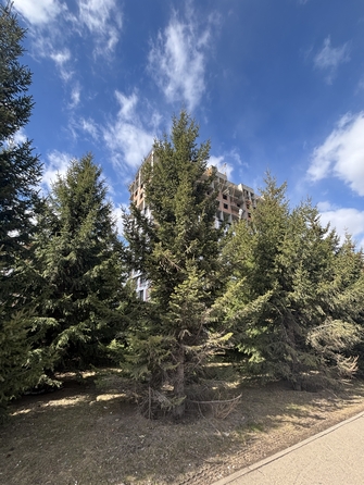 
   Продам 2-комнатную, 49.9 м², Univers (Универс), 3 квартал

. Фото 13.