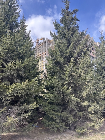 
   Продам 2-комнатную, 49.9 м², Univers (Универс), 3 квартал

. Фото 14.