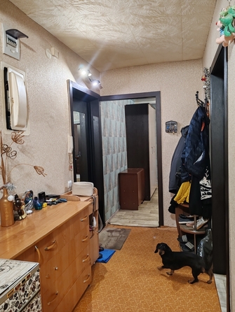 
  Продам 3-комн. квартиру, 55.3 м², Железнодорожников ул, д. 10а
. Фото 14.