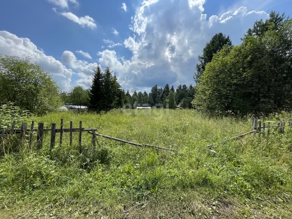 
  Продам  дачный участок, 9.1 соток, Арейское село

. Фото 1.