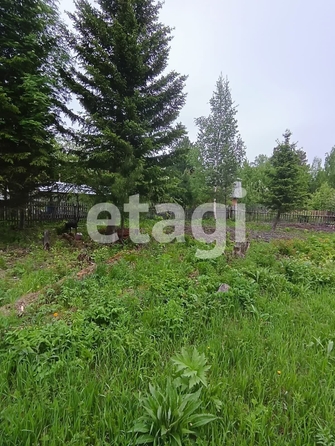 
  Продам  дачный участок, 9.1 соток, Арейское село

. Фото 6.