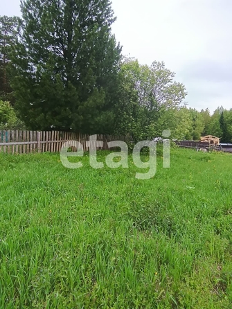
  Продам  дачный участок, 9.1 соток, Арейское село

. Фото 8.