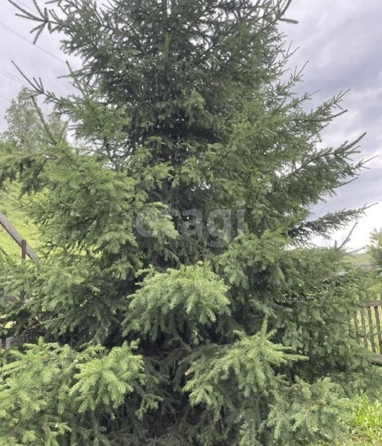 
  Продается дом, 100 м², поселок городского типа Березовка
. Фото 33.