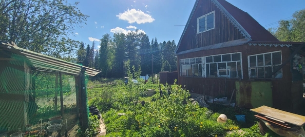 
  Продам дачу, 30 м², станция Рябинино
. Фото 5.