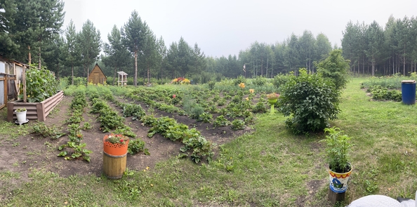 
  Продам дом, 90 м², деревня Красное Знамя
. Фото 8.