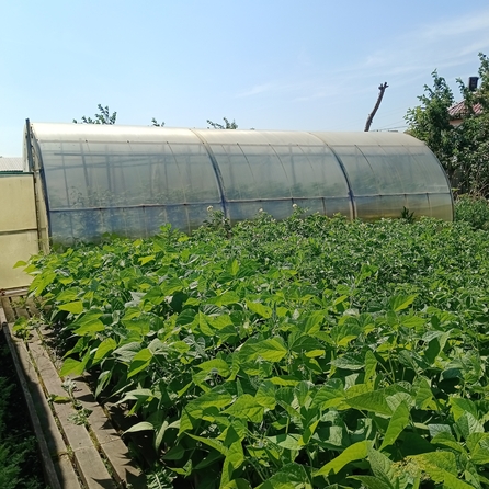
  Продам дом, 79 м², Красноярск
. Фото 10.