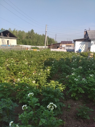 
  Продам дом, 92.9 м², деревня Киндяково
. Фото 20.