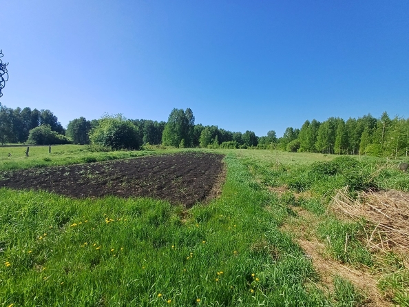 
  Продам дом, 36.5 м², деревня Татьяновка
. Фото 25.