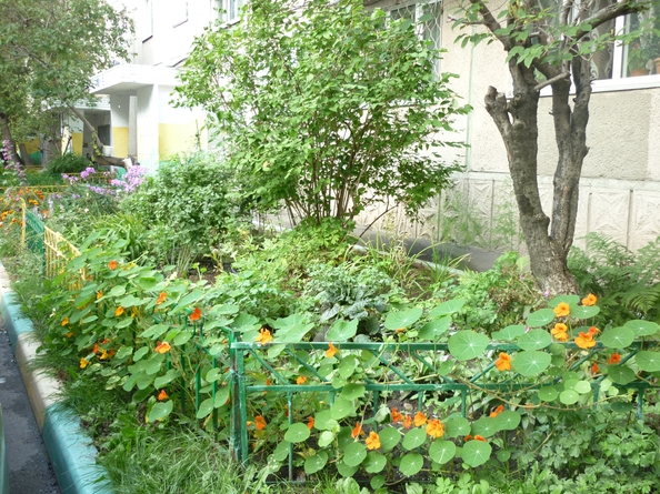 
  Продам 2-комн. квартиру, 57 м², 9 Мая ул, д. 29
. Фото 12.