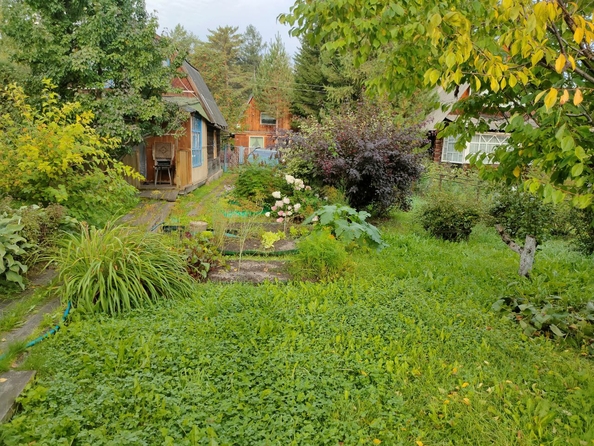 
  Продам дачу, 35 м², СНТ Верба (ст. Калягино)
. Фото 6.