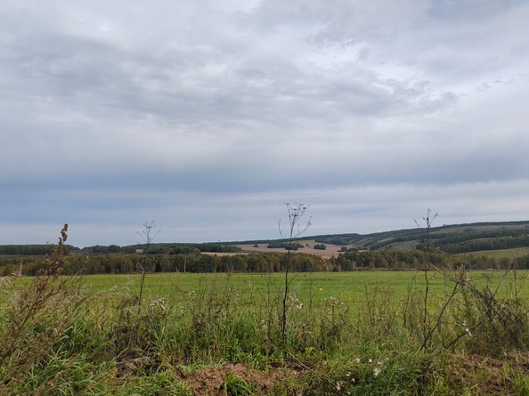 
  Продается земельный участок, 9 соток, ДНТ Заречье
. Фото 5.