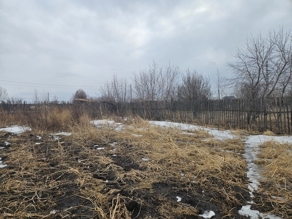 
  Продается земельный участок 6 соток. Фото 4.
