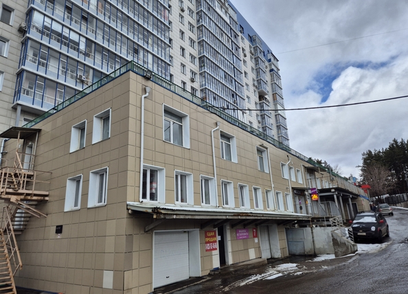 
  Продается универсальное помещение 282.3 м². Фото 14.