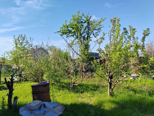 
  Продам земельный участок 7 соток. Фото 2.