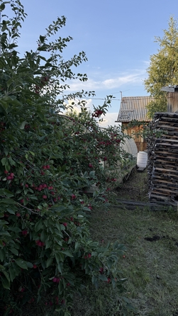 
  Продам дачу 90 м². Фото 13.