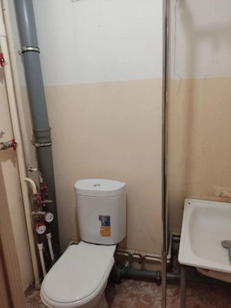 
  Сдам 1-комн. квартиру 24 м². Фото 4.