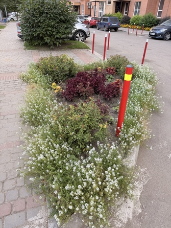 
  Продам 1-комн. квартиру 40.6 м². Фото 22.
