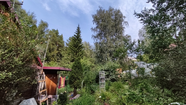 
  Продам дачу 42 м². Фото 13.