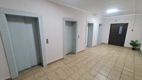 
  Сдам 1-комн. квартиру 44 м². Фото 21.