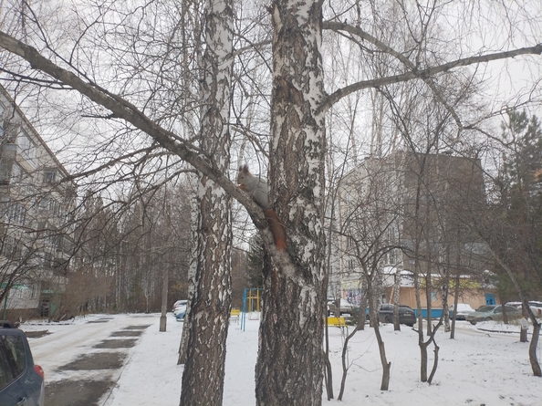 
  Продам 2-комн. квартира 52.8 м². Фото 3.