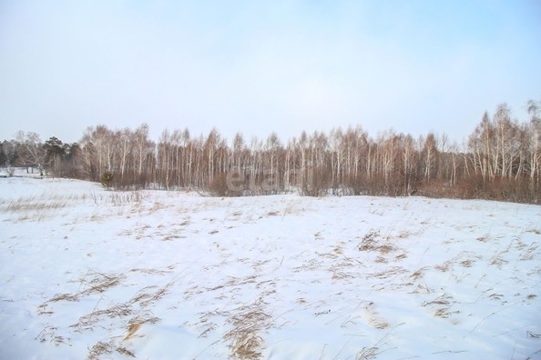 
  Продам  участок ИЖС, 12 соток, Барнаул

. Фото 3.