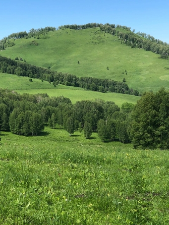 
  Продам  коммерческую землю, 150000 соток, Солонешное

. Фото 13.