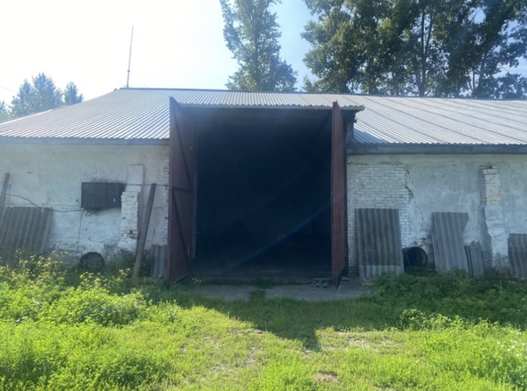 
  Сдается склад, 1200 м², Элеваторная ул, д. 8
. Фото 3.