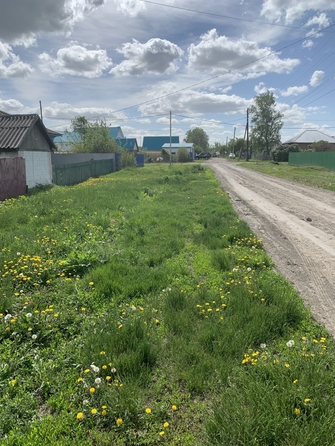 
  Продается земельный участок, 11 соток, село Шахи
. Фото 2.