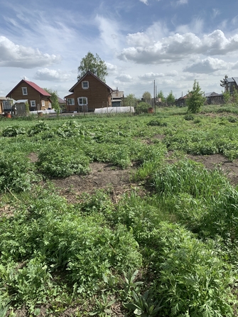 
  Продается земельный участок, 11 соток, село Шахи
. Фото 4.