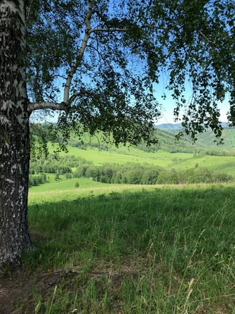 
  Продается производственное помещение, 2200 м², Алтайская ул, д. 80
. Фото 16.